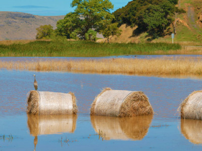 Flooding Little River
