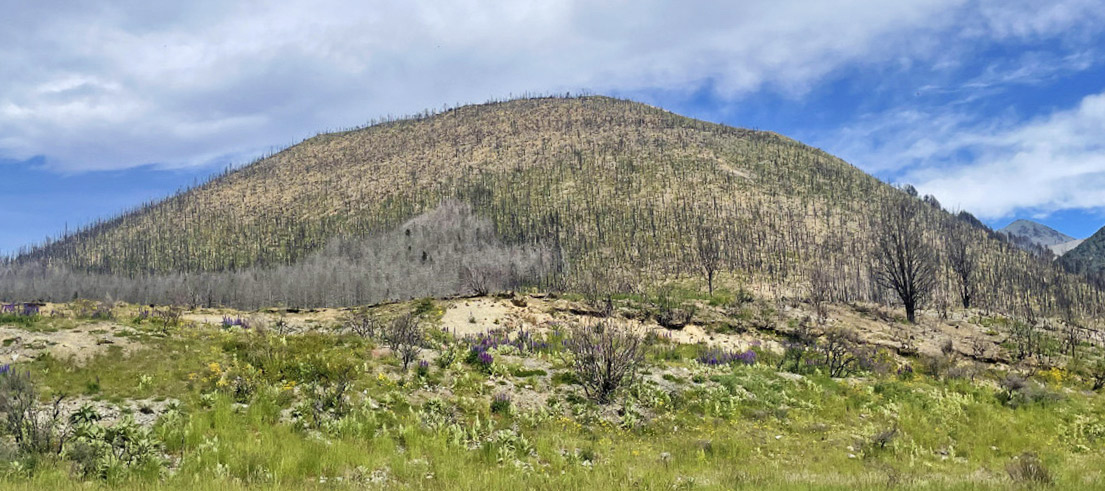 Helicopter Hill in 2025