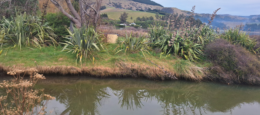Te Wharau Stream