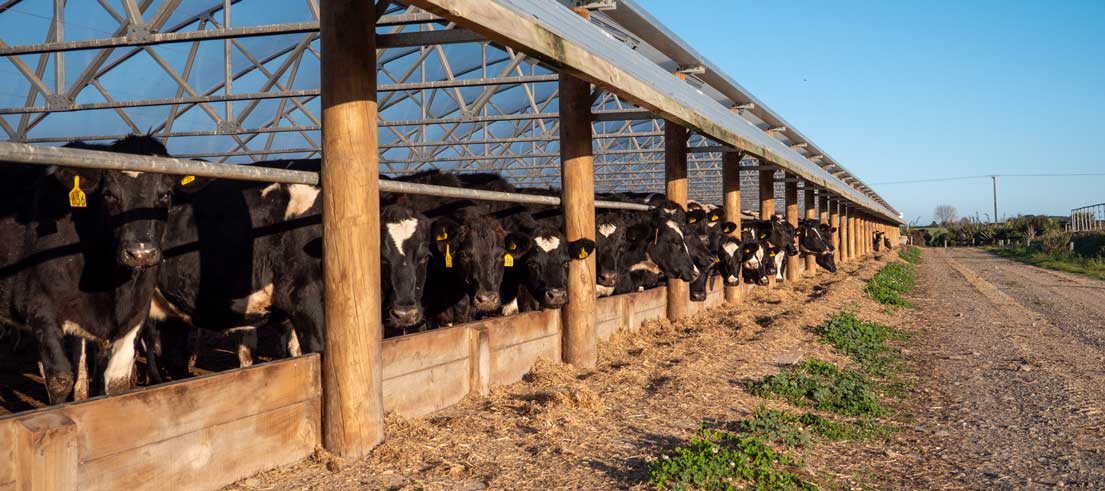 wintering barns header