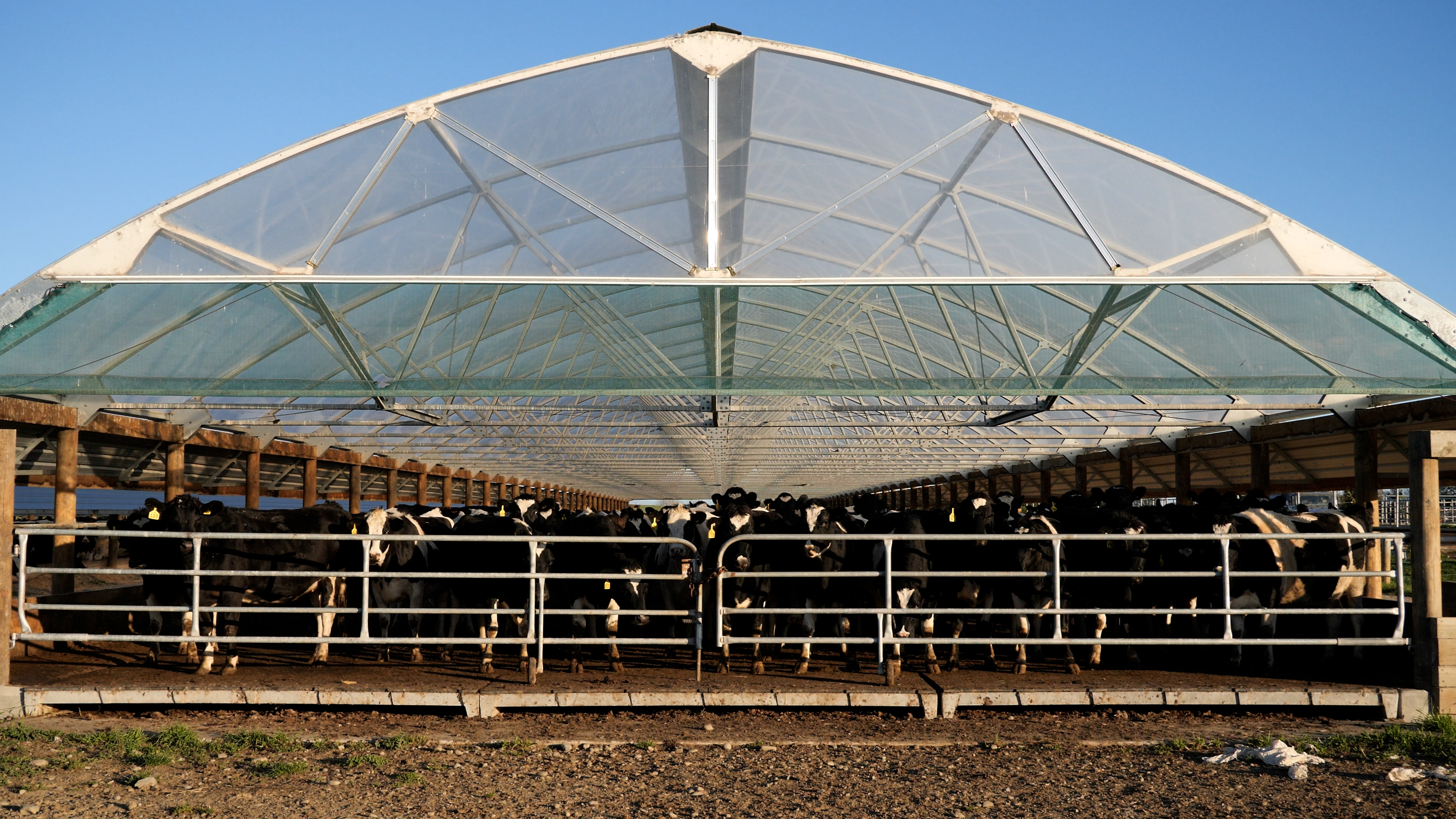 wintering barns video teaser