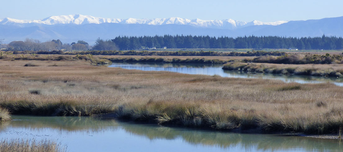 Te Rauakaaka 1