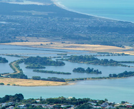 Bromley poo ponds