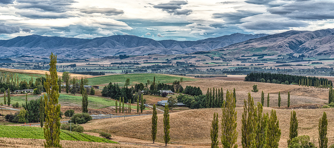 Geraldine Fairlie lookout