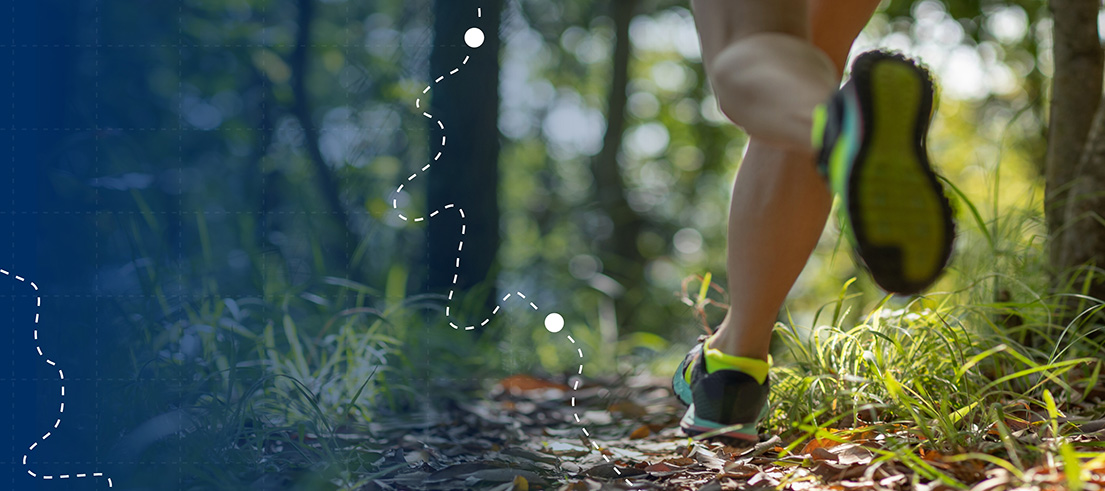 McLeanes forest running