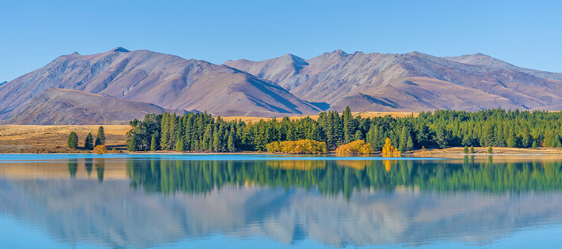 Takapō regional park