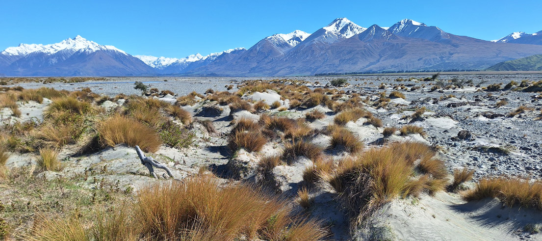 Weed control Upper Rangitata River area