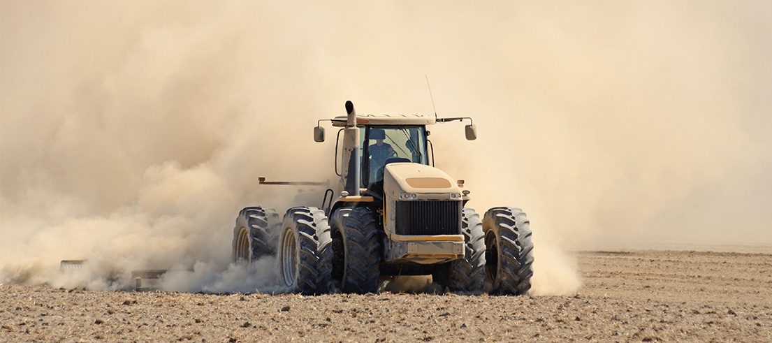 Dry conditions on farm