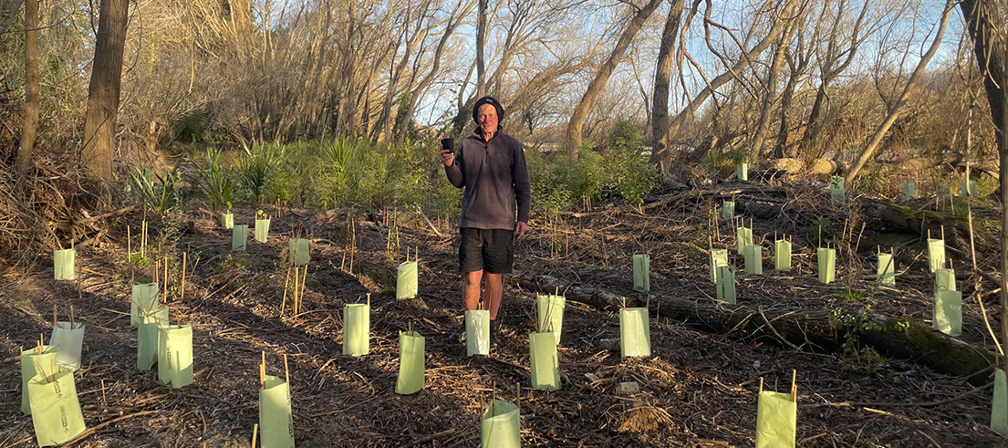 Ross Hawthorne planting pic