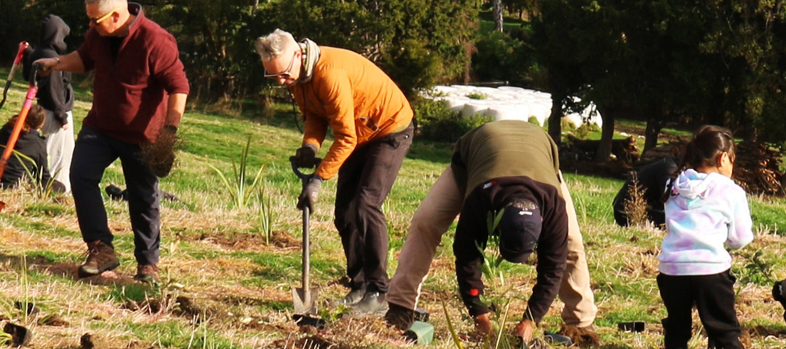 CONTESTABLE FUNDS Supporting Environmental Action