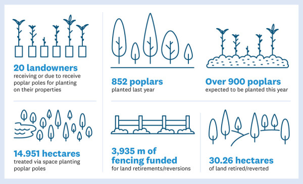 Infographic showing poplar planting and land retirement: 20 landowners receiving poles, 852 poplars planted last year, over 900 expected this year, 14.951 hectares treated, 3,935 metres of fencing funded, and 30.26 hectares retired or reverted.
