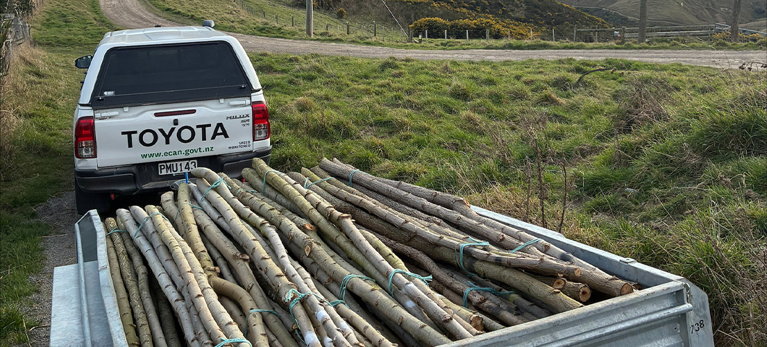 SCAR ute with poplar poles