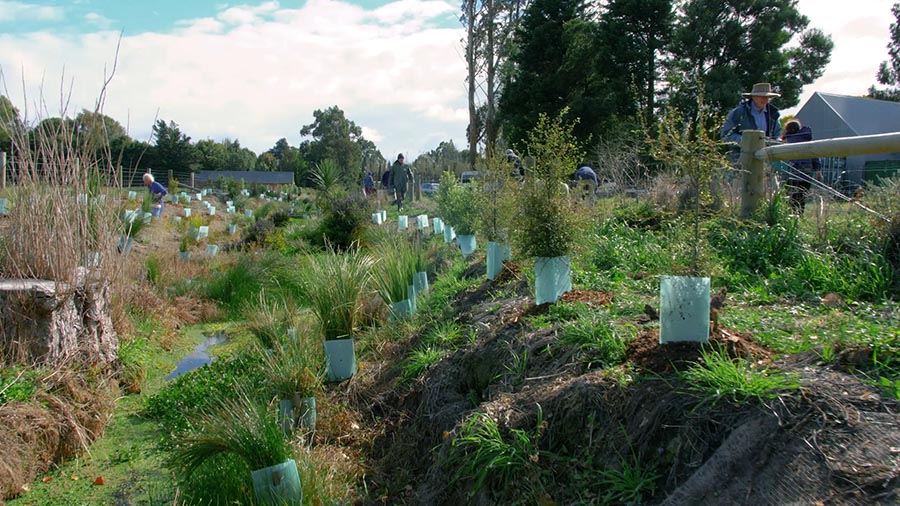 Community leading the way to make a positive difference to urban