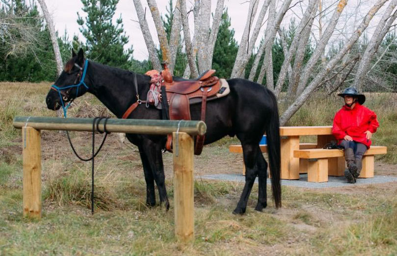 West Melton Forest Environment Canterbury