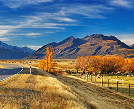 MacKenzie Basin