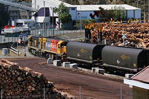 KiwiRail train transporting logging
