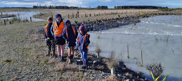 Greendale School students check for pests at the Near River Recharge site