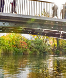 Avon River bridge