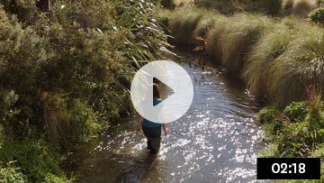 Scientist, Shelley McMurtrie talks about the importance of keeping fine sediment out of our streams and rivers.