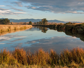 Lower Waitaki River